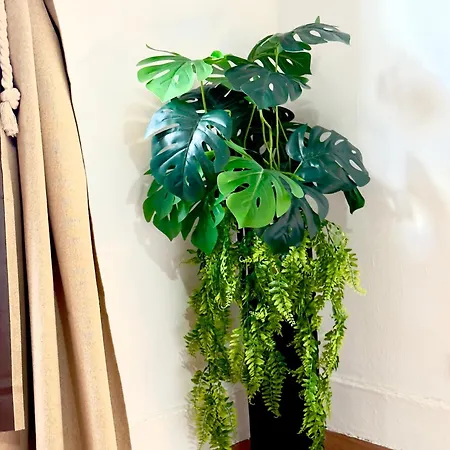 דירה Lupita, En El Centro De ויגו