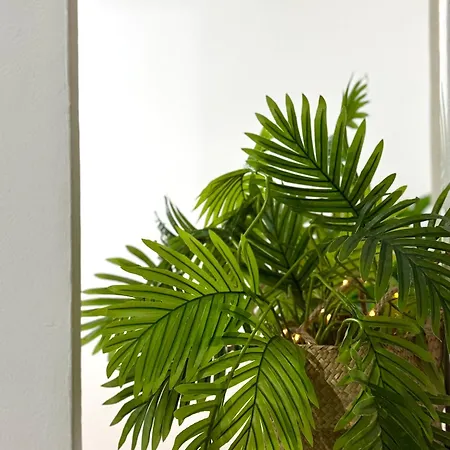 דירה Lupita, En El Centro De