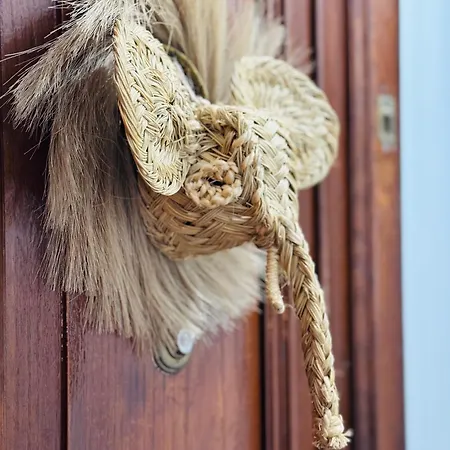 Lupita, En El Centro De דירה ויגו