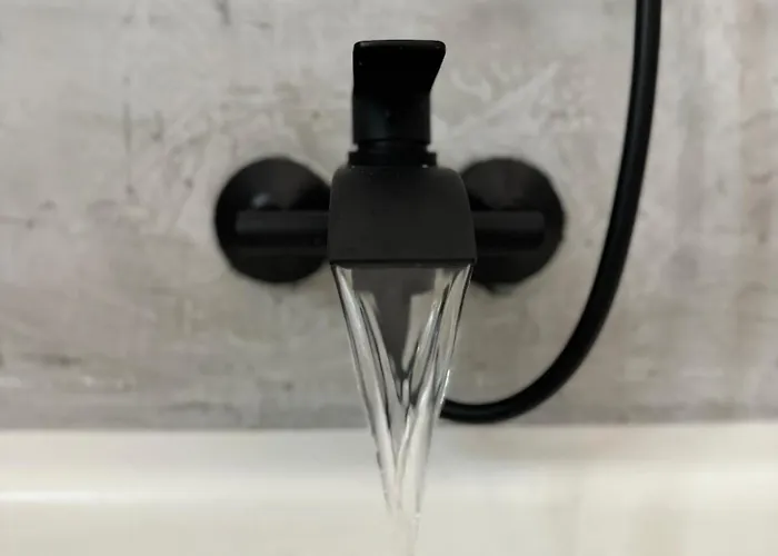 Lupita, En El Centro De Apartman Vigo