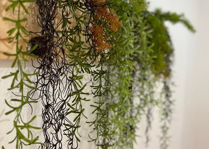 Lupita, En El Centro De *