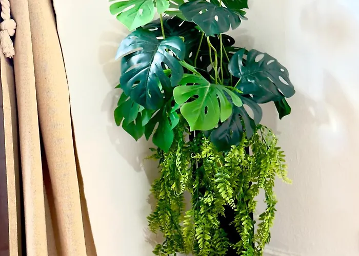 Apartman Lupita, En El Centro De Vigo