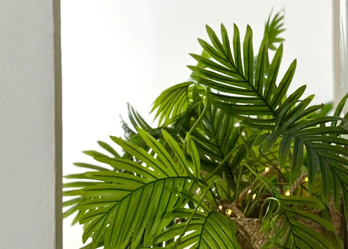 Apartman Lupita, En El Centro De