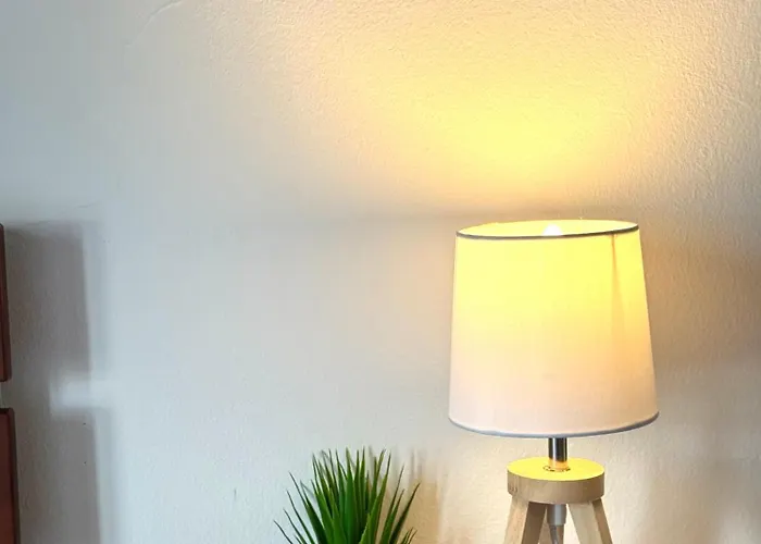 Lupita, En El Centro De Apartman