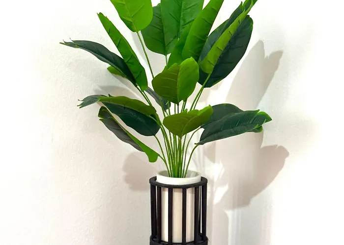 Lupita, En El Centro De Apartman