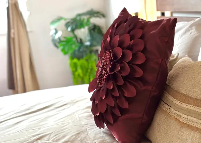 Apartman Lupita, En El Centro De